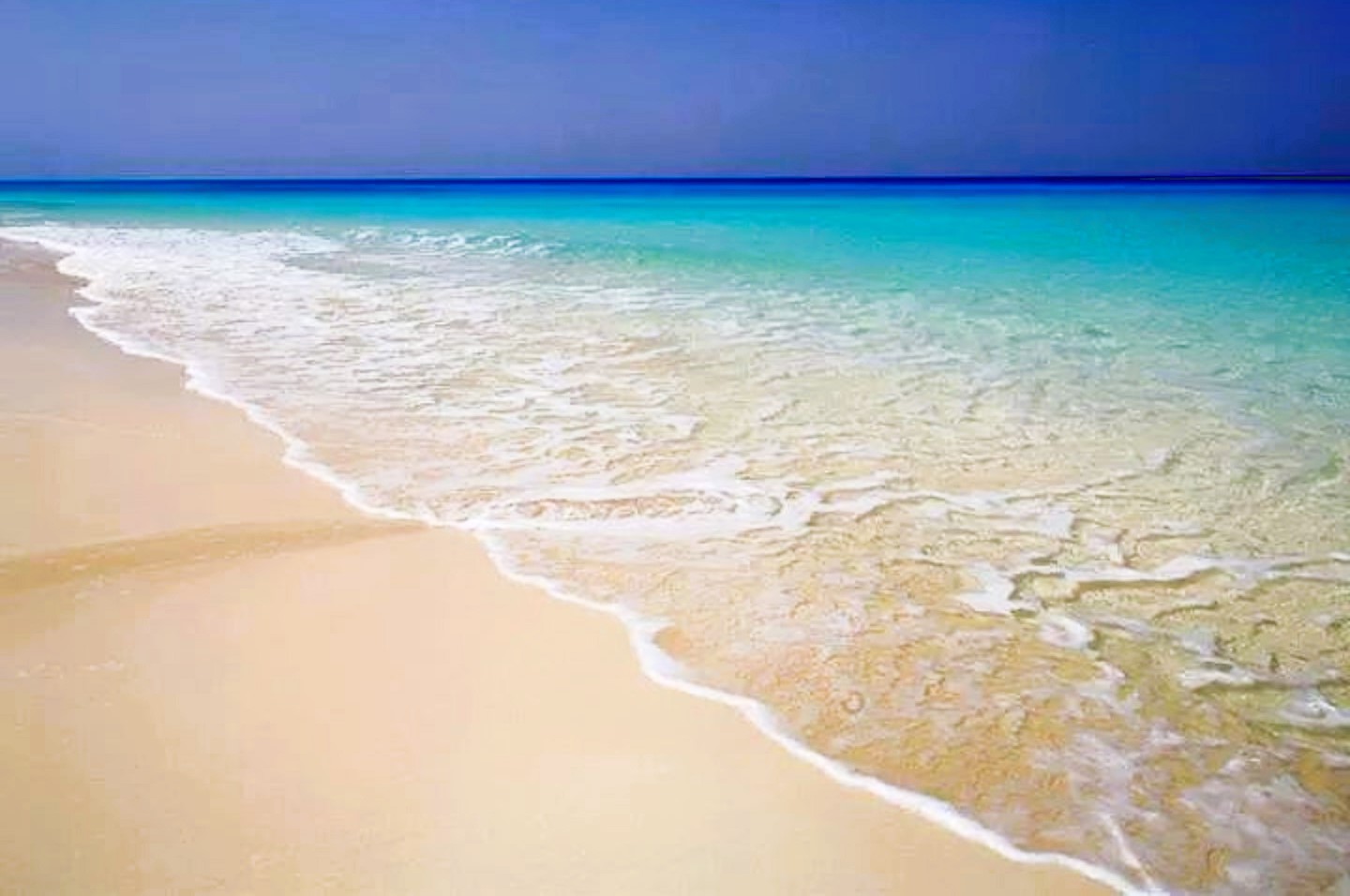 احد شواطئ راس الحكمة احد شواطئ راس الحكمة