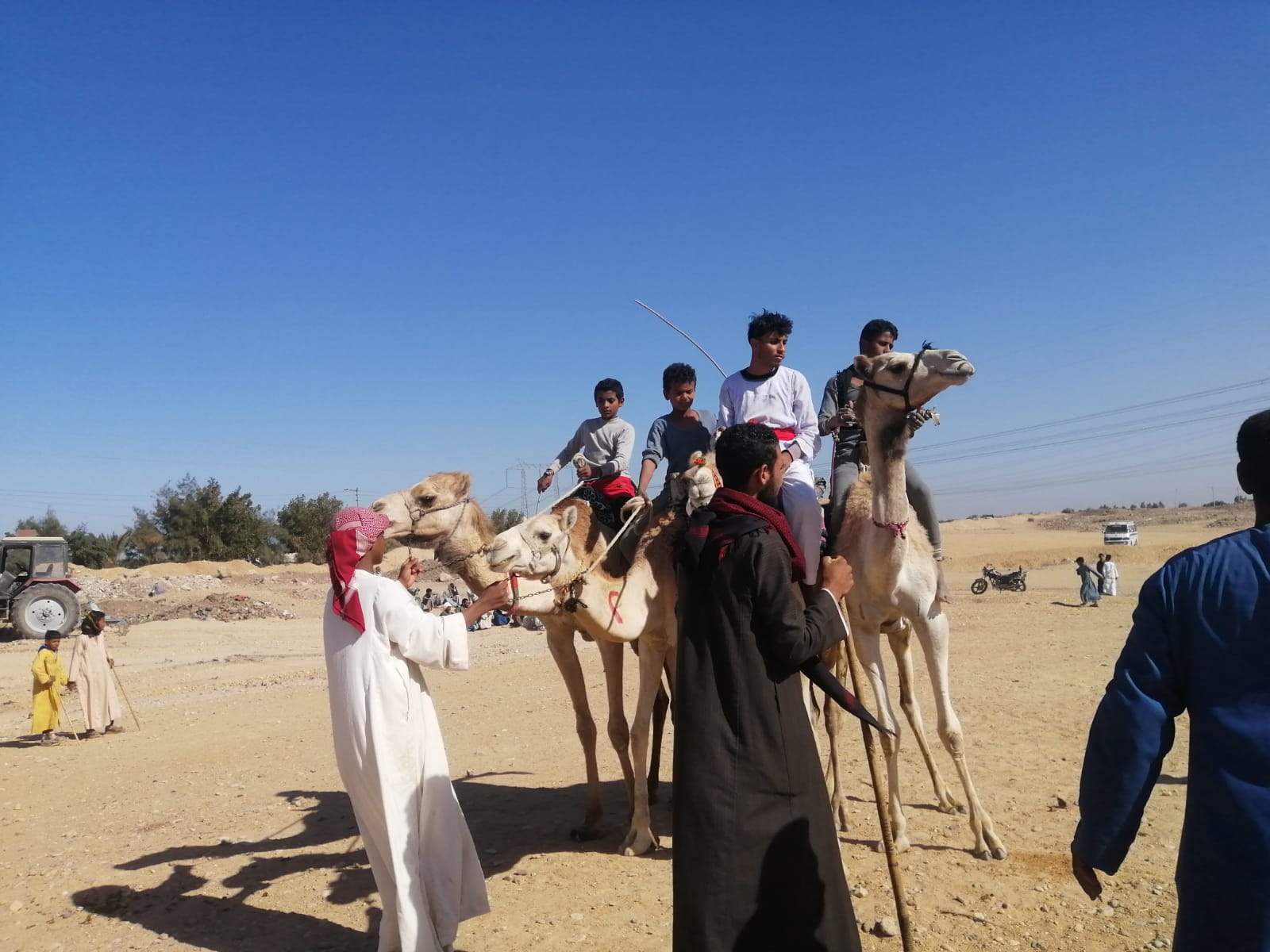 فعاليات بطولة رياضة الهجن في حجر الموساوية (3)