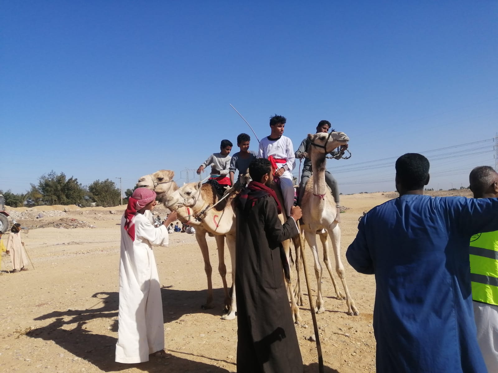 فعاليات بطولة رياضة الهجن في حجر الموساوية (2)