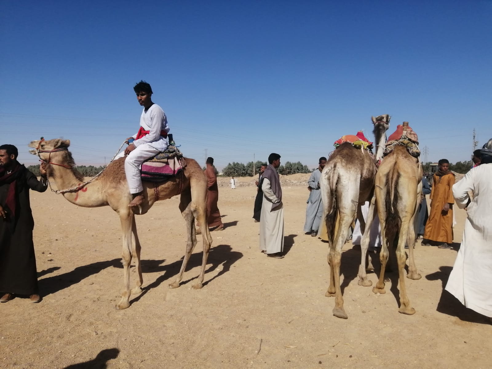جزء من البطولة (2)