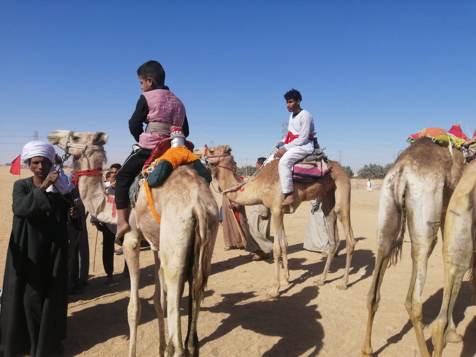 جزء من البطولة (3)