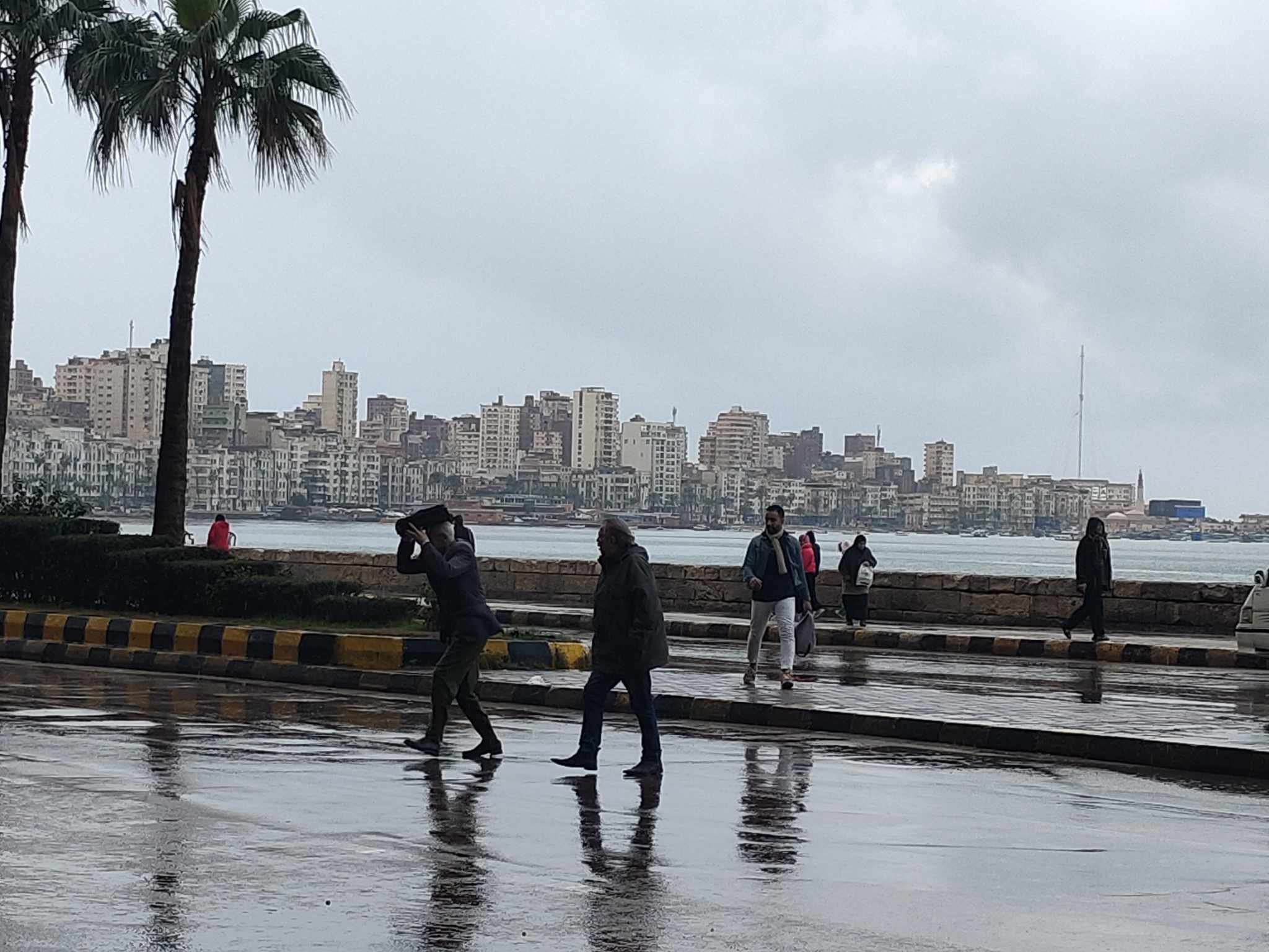 امطار الإسكندرية اليوم