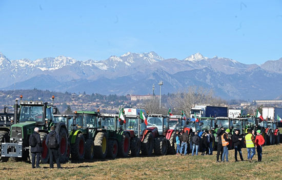 تجمعات كبيرة للمزارعين  (1)