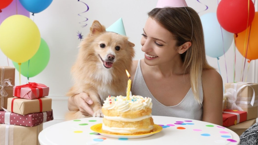 فتاة تحتفل بعيد ميلاد كلبها