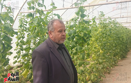 ‪الدكتور-محمد-وصفى-وكيل-كلية-الزراعة-جامعة-القناة