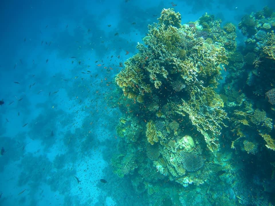 اعماق شواطئ القلعان