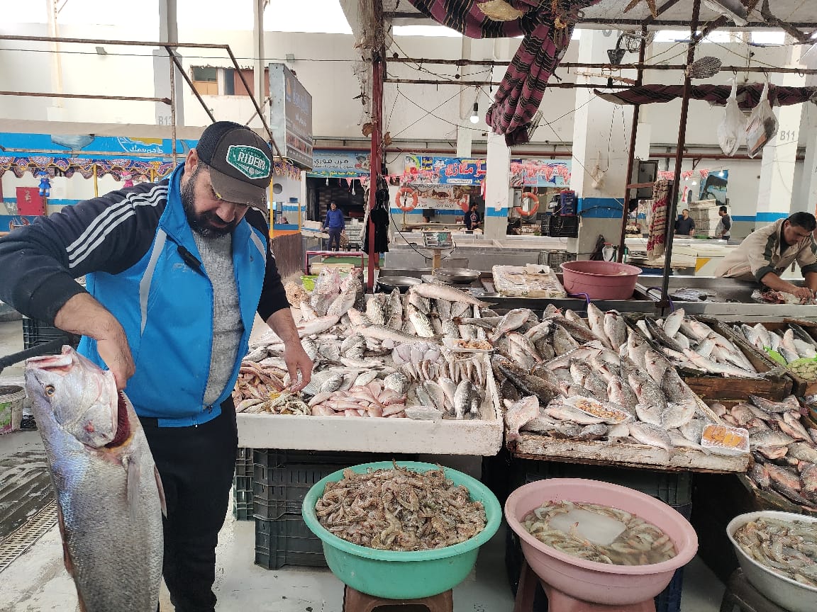 أكبر سمكة في سوق الأسماك (5)