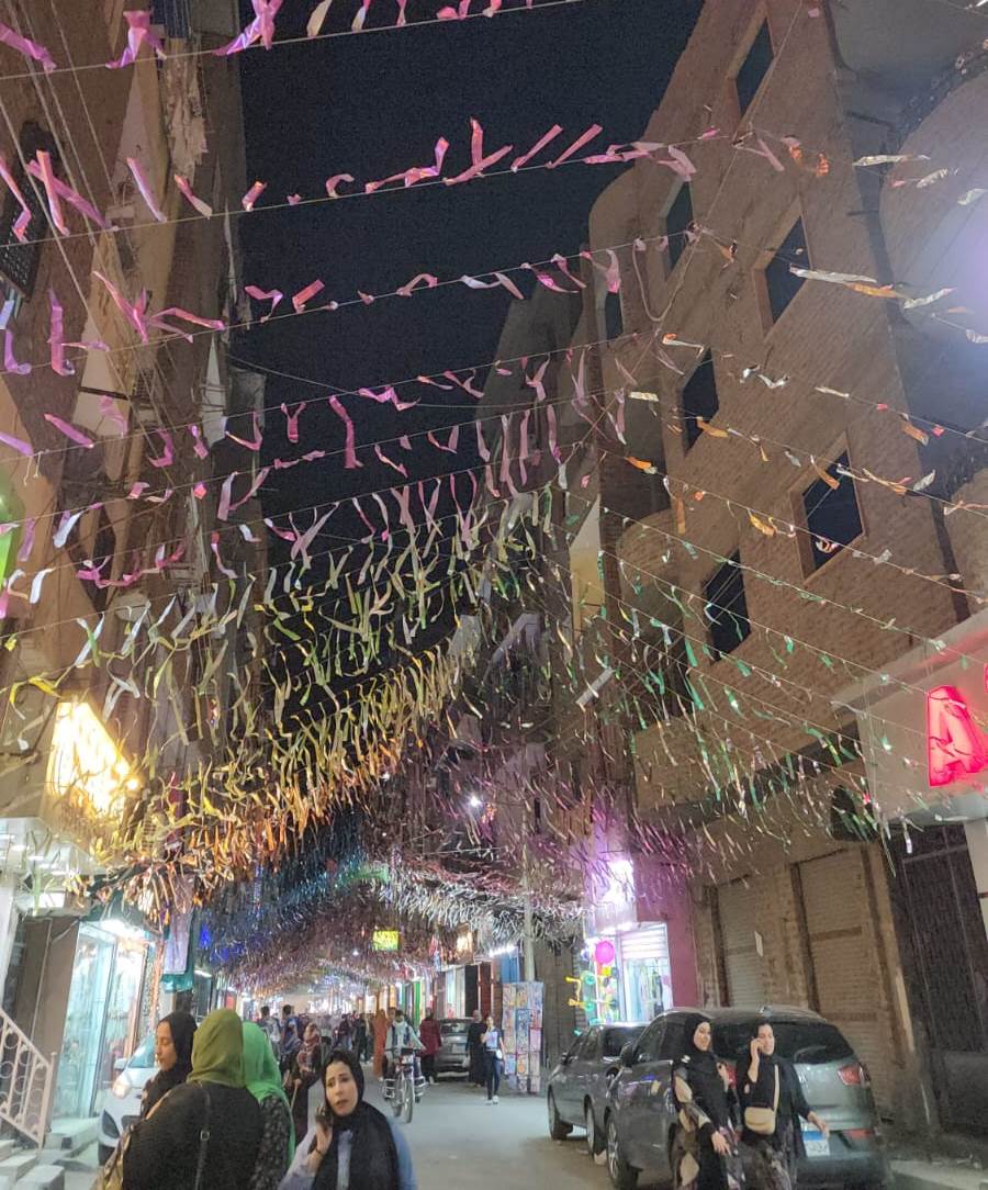 كرنفال زينة وأعلام فلسطين بشارع الطيب