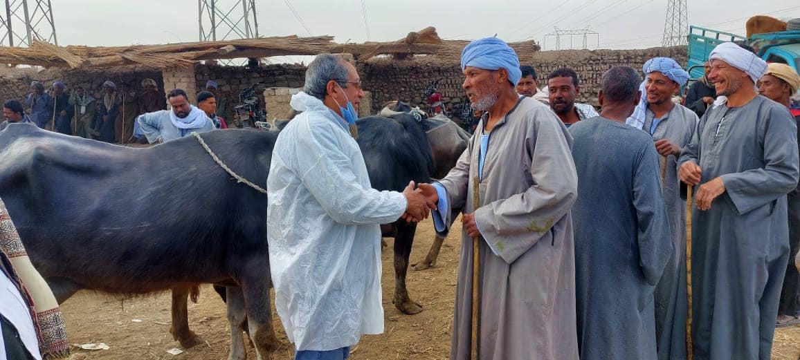 حملات رمضانية لفحص وتحصين الماشية في الأسواق الأسبوعية