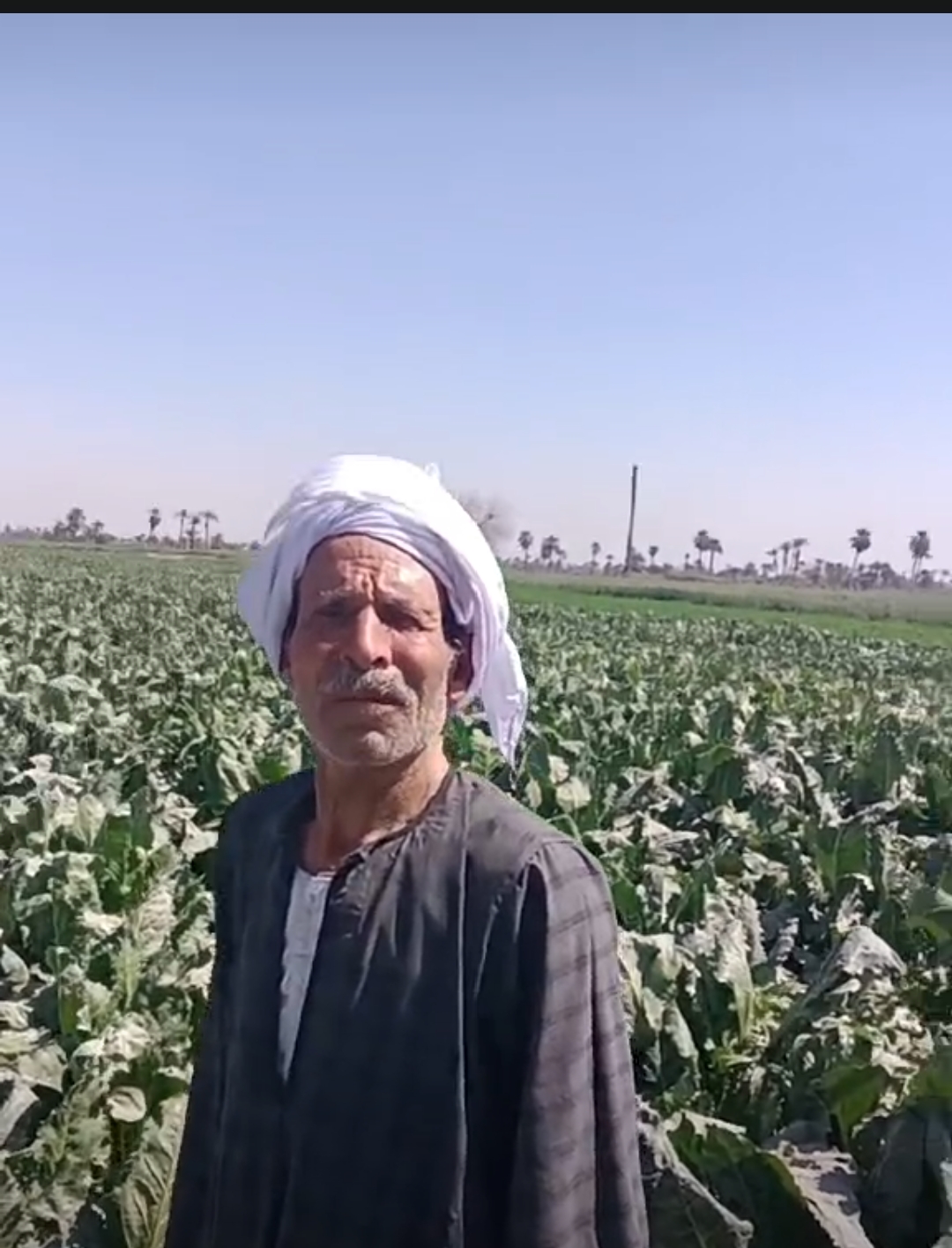 المزارع شعبان عبد الرازق