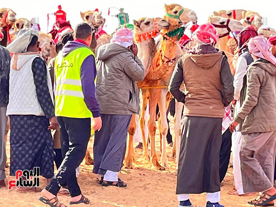 صاحب الهجن خلال سباق الهجن في العلمين