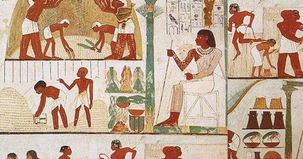 الفول فى الحياه الفرعونية