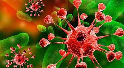 الفيروسات والبكتريا القاتلة