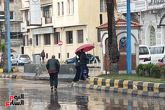 امطار-وطقس-مائل-للبرودة-في-الإسكندرية