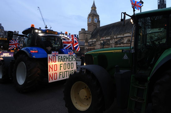 تظاهرات  حول نقص الدعم للمعايير الزراعية والغذاء