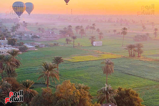 بالونات طائرة تحلق في سماء البر الغربي