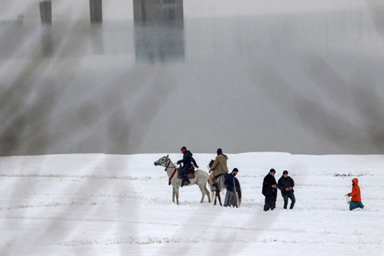 الناس تركب الخيول  وسط الثلج