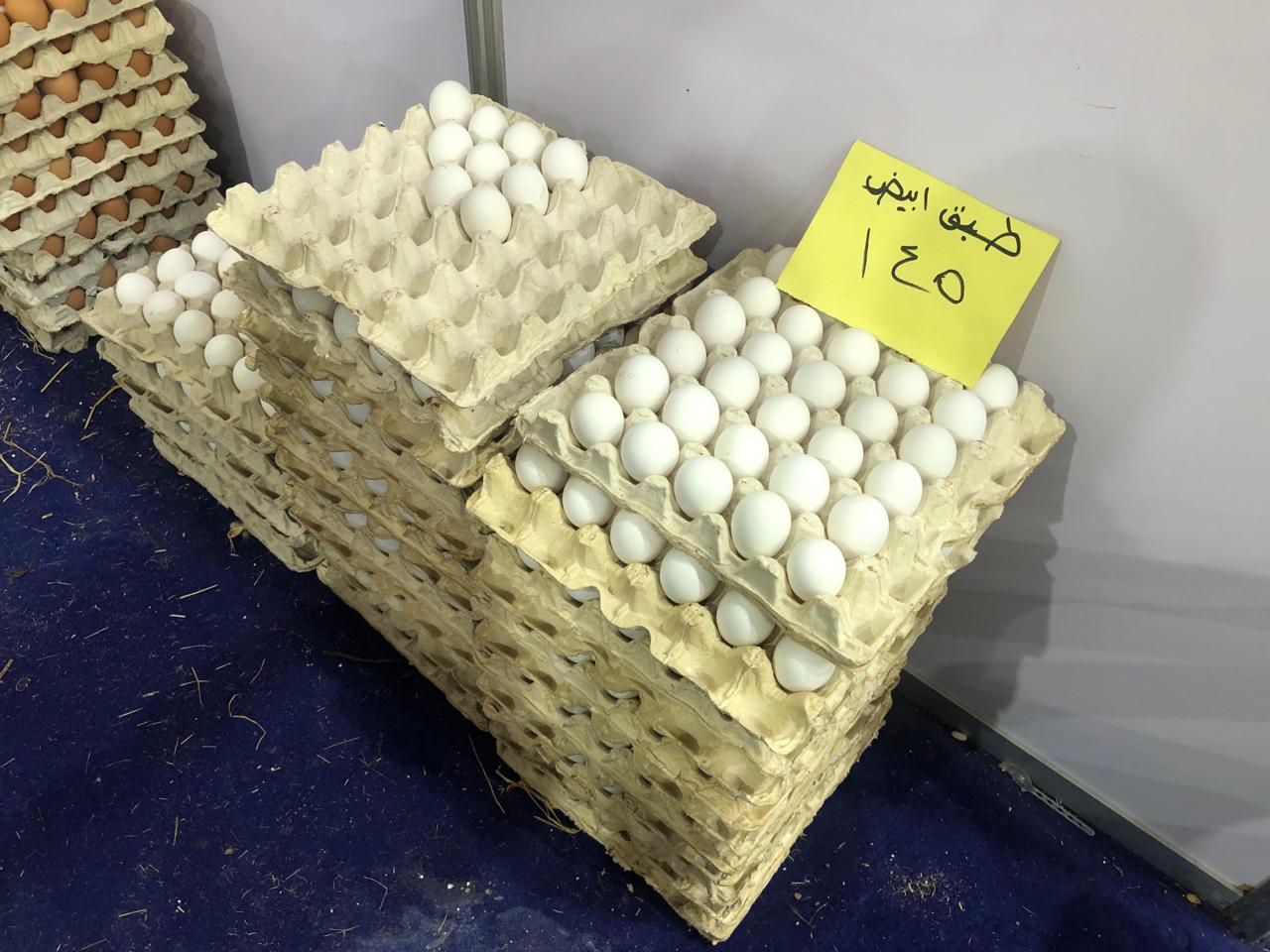 سعر بيض المائدة داخل المعرض