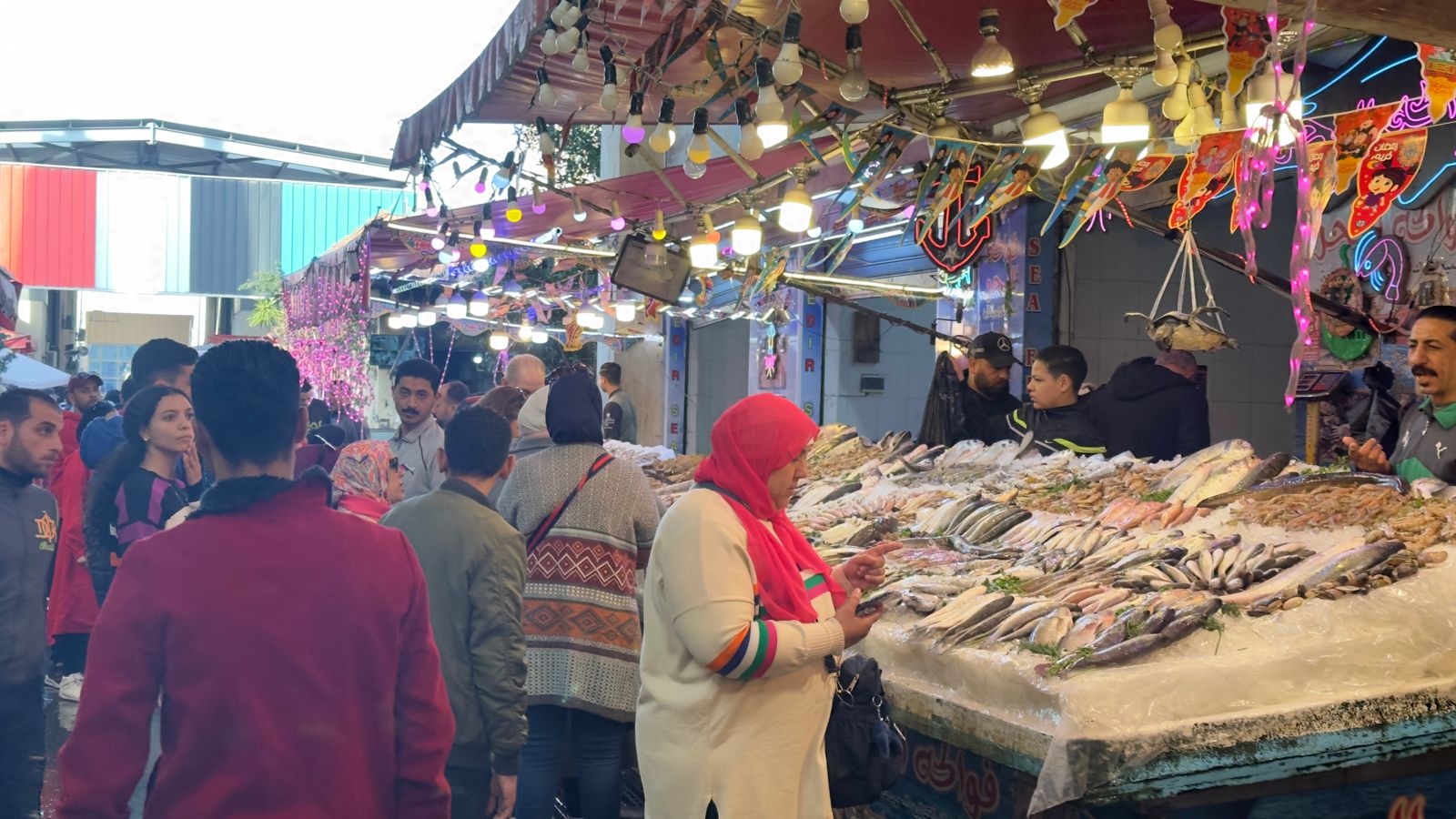 شراء الأسماك في سوق بورسعيد