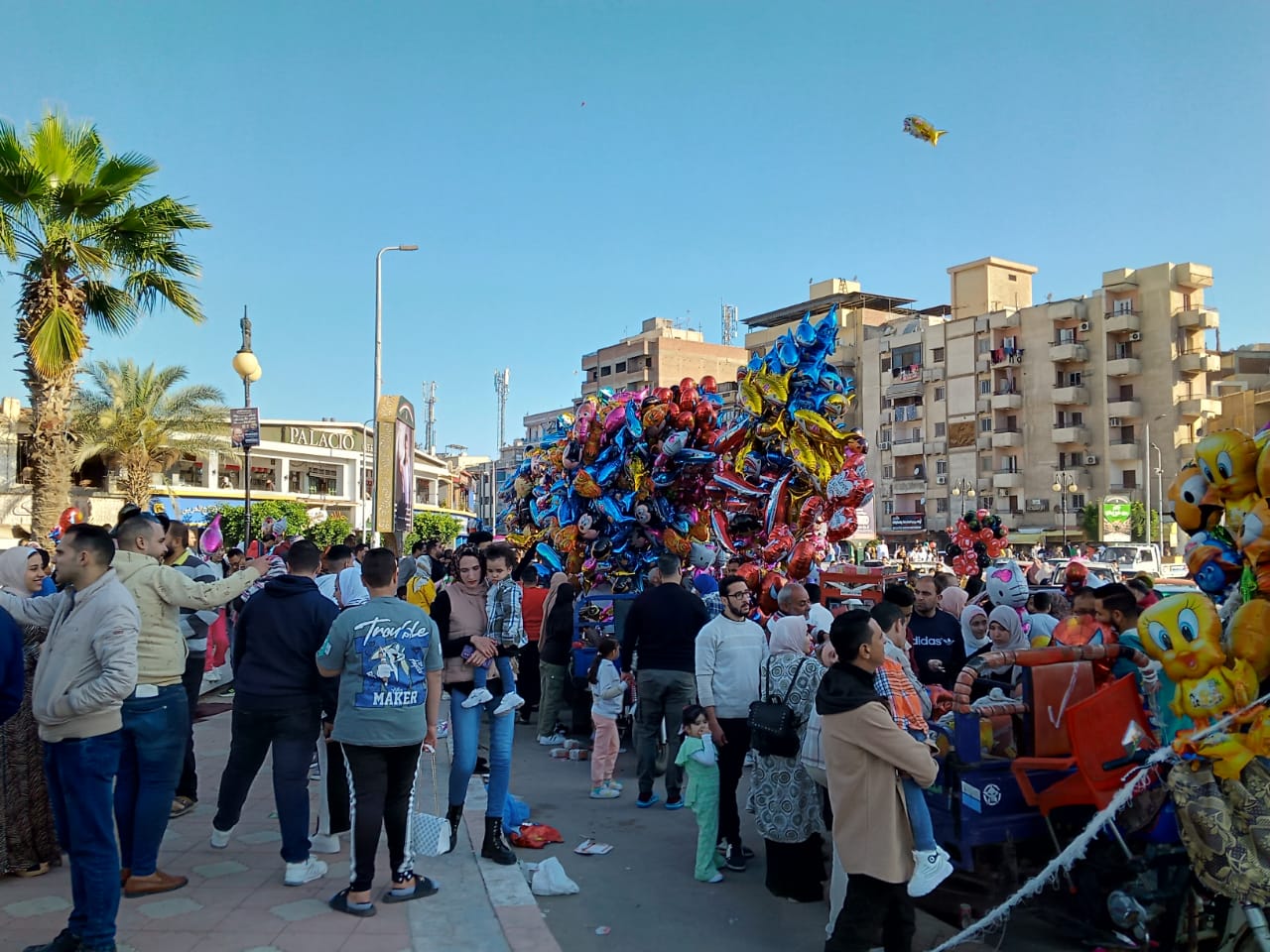 التحالف الوطنى يشارك أهالى البحيرة احتفالاتهم بعيد الفطر المبارك (5)