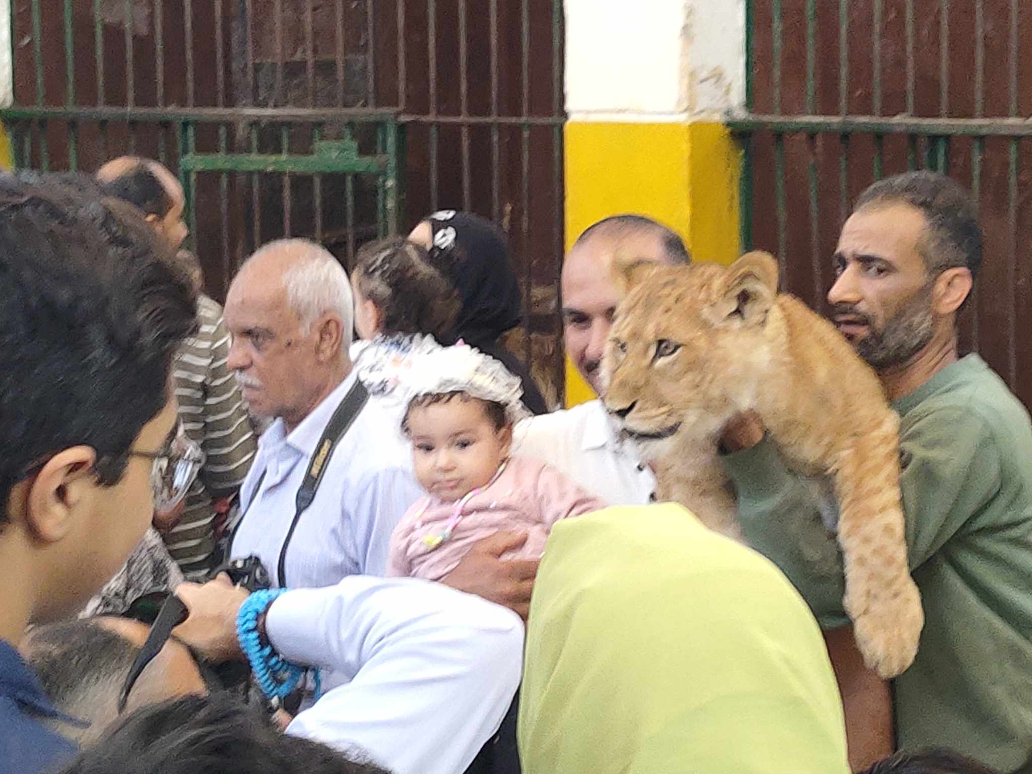 التقاط صور مع الاسد داخل حديقة حيوان الإسكندرية