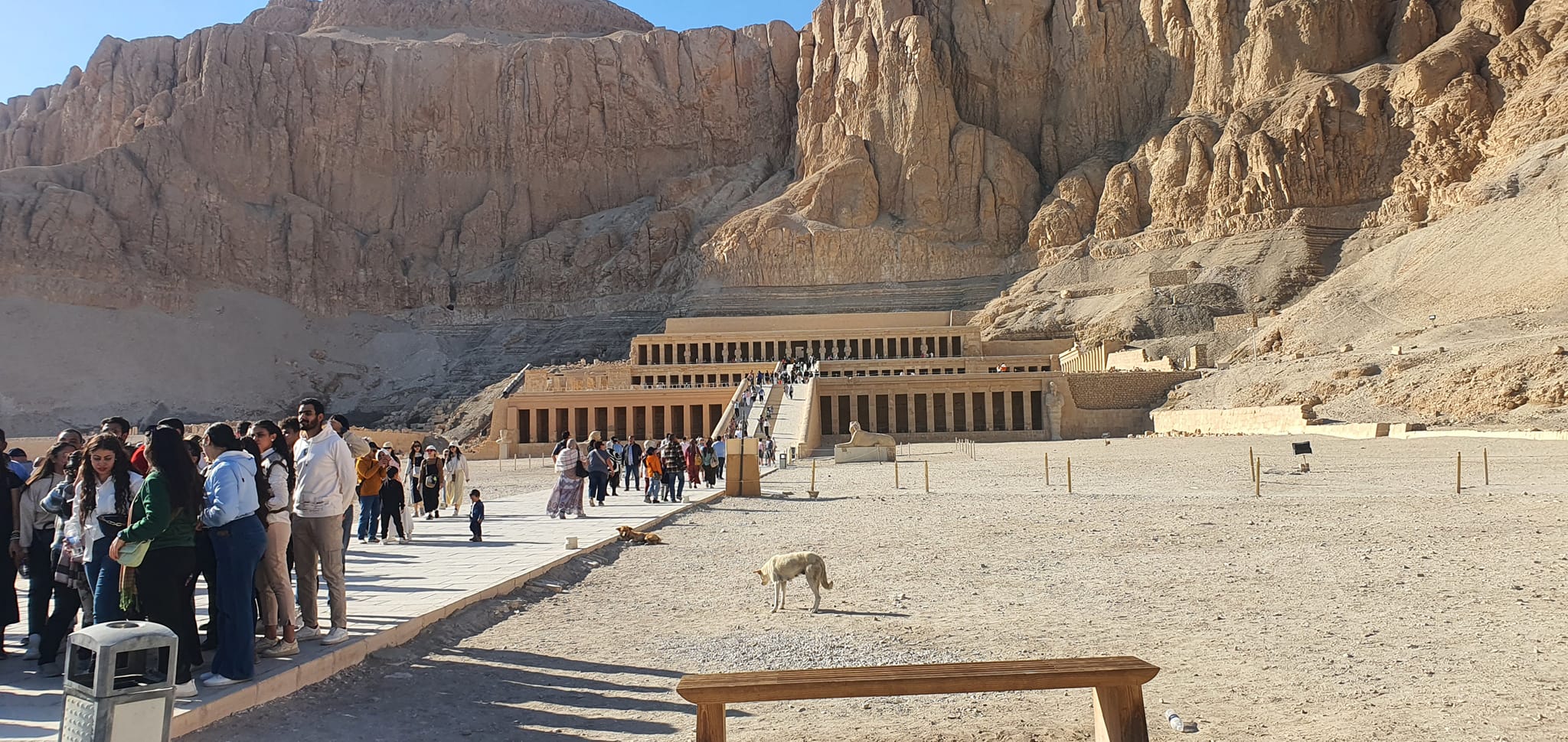 التوافد السياحى الكبير فى معبد حتشبسوت