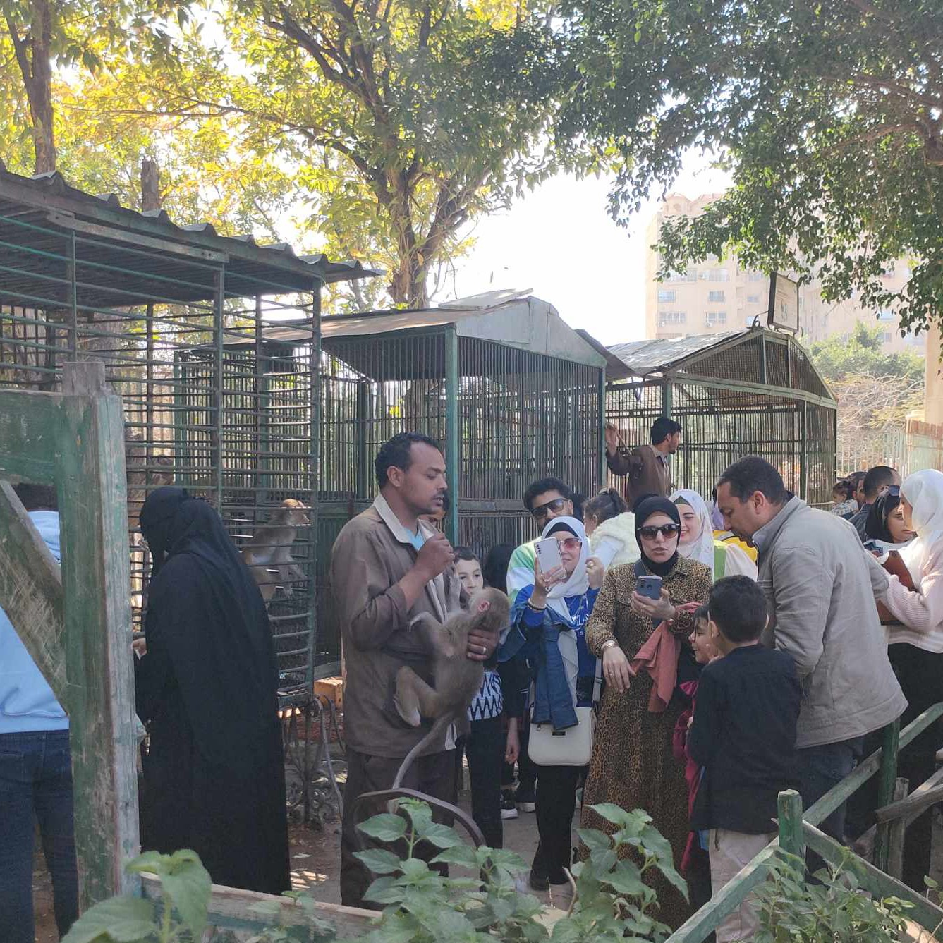 التقاط الصور مع القرود داخل حديقة حيوان الإسكندرية