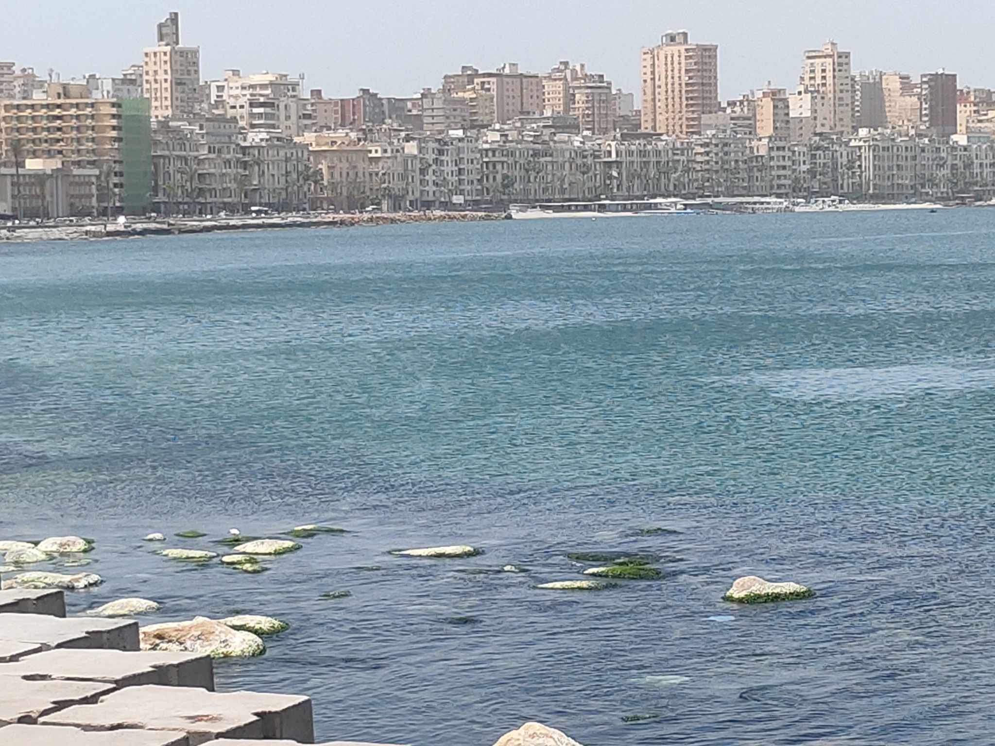 طقس شديد الحرارة في الإسكندرية