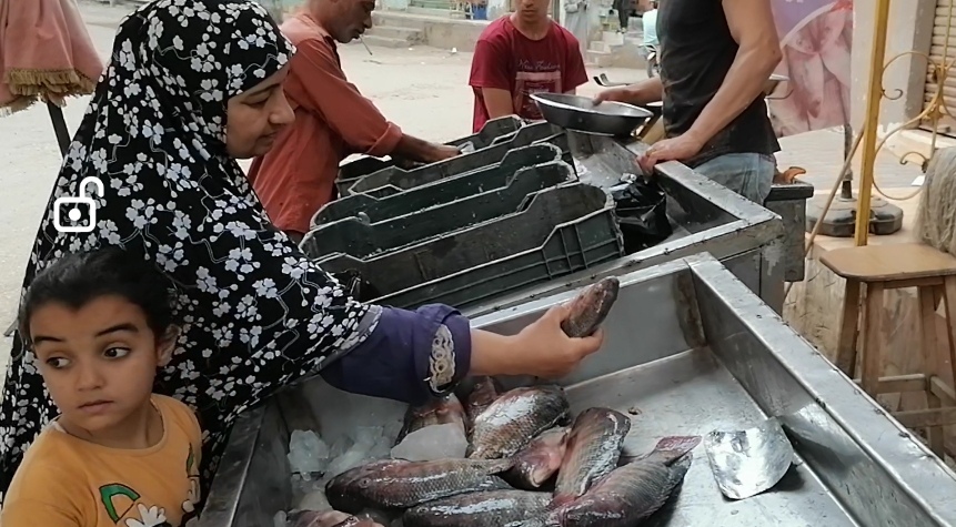 عودة المواطنين لشراء الاسماك في الدقهلية بعد هبوط الاسعار