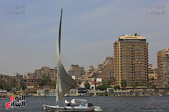 نيل القاهرة (3)