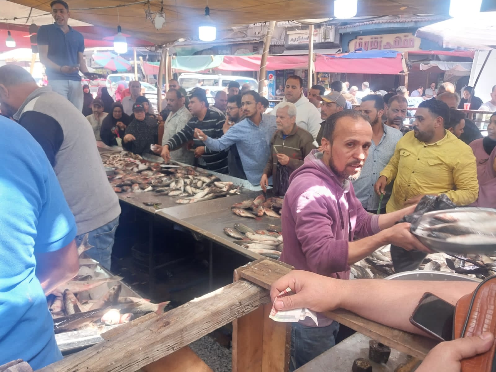 اقبال المواطنين على شراء الأسماك بأسواق دمياط