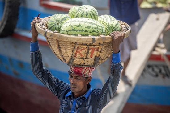 البطيخ فى بنجلاديش (3)
