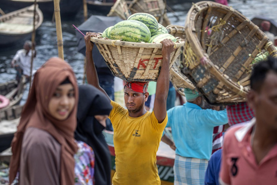 البطيخ فى بنجلاديش (9)