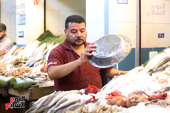 سوق السمك (5)