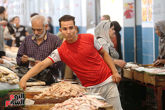 سوق السمك (4)