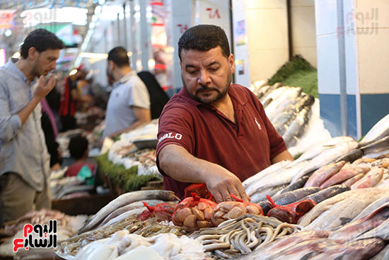 سوق السمك (18)