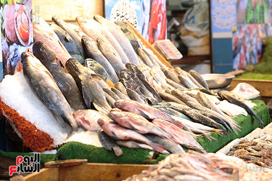 سوق السمك (13)