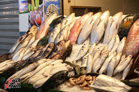 سوق السمك (8)