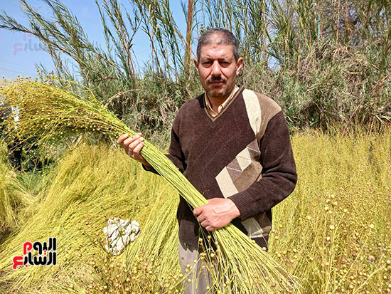 المهندس--محمود-يسن-اخصائي-محصول-الكتان-بالشرقية، المهندس--محمود-يسن-اخصائي-محصول-الكتان-بالشرقية،