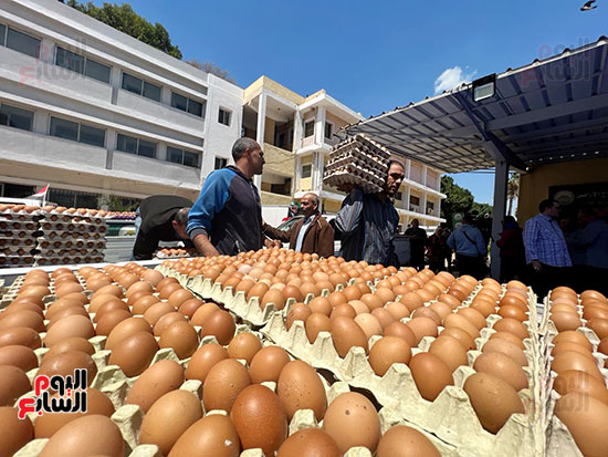 بيض المائدة بمنافذ وزارة الزراعة المتحركة