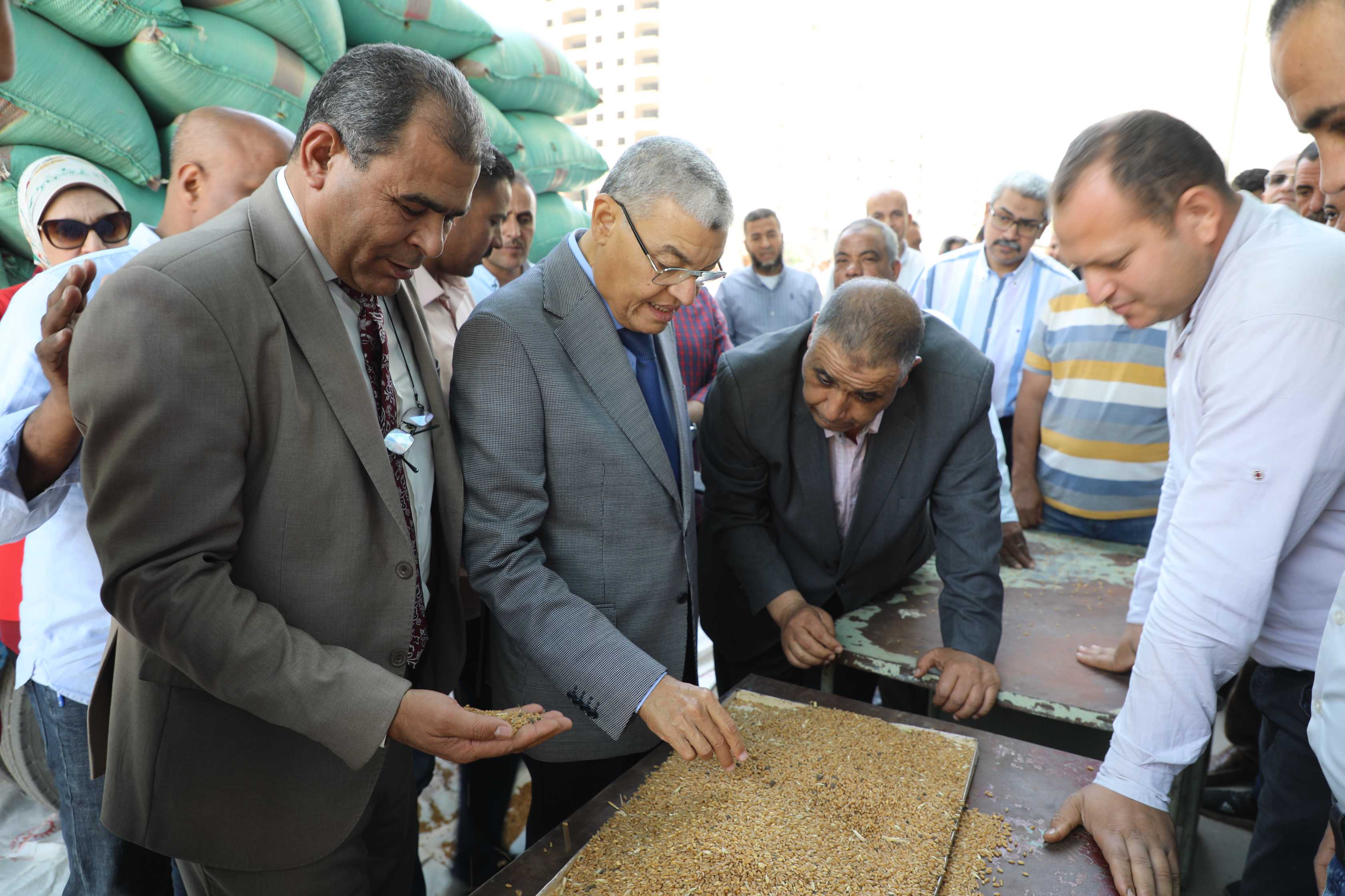توريد 67 ألف طن حتى الآن من محصول القمح بالشون والصوامع الحكومية بالمنيا (4)