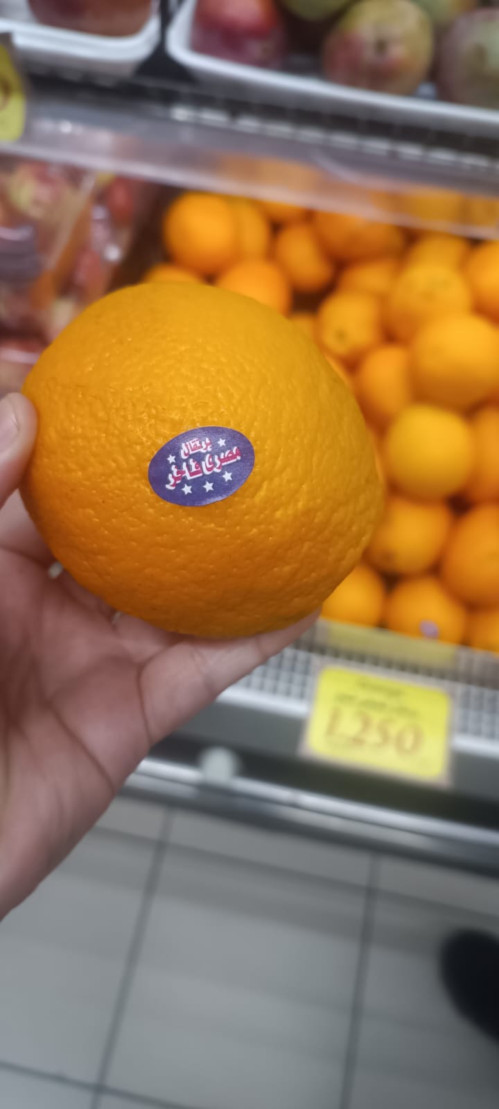 بيع البرتقال المصري في الأسواق الأردنية