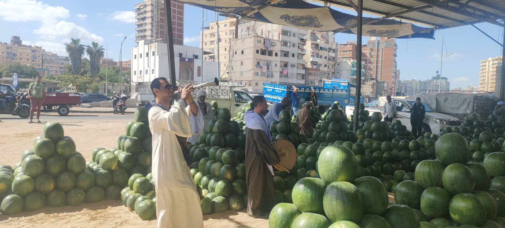 بالمزمار اكبر مزاد لبيع البطيخ في الإسكندرية