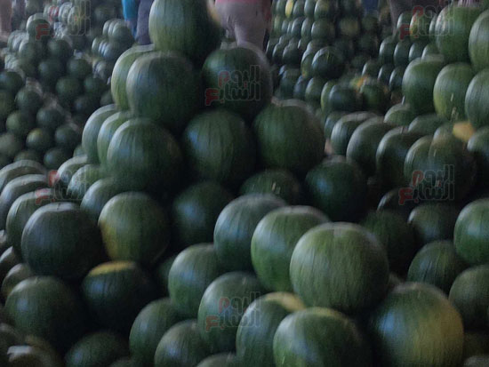 البطيخ-في-سوق-الحضرة-بالإسكندرية
