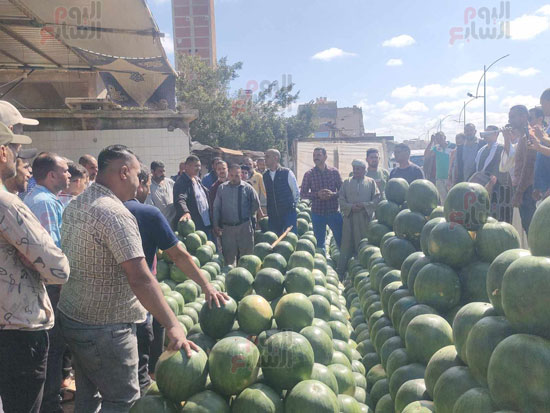 اقبال-علي-مزاد-بيع-البطيخ-في-الإسكندرية