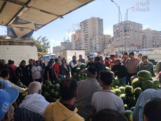 تجمع-اكبر-تجار-البطيخ-في-الحضرة-الإسكندرية