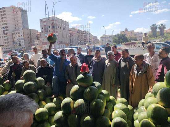 مزاد-بيع-البطيخ-في-الحضرة-بالإسكندرية