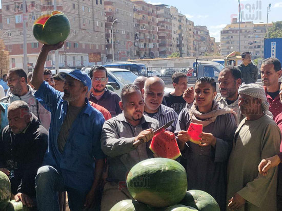 مزاد-بيع-البطيخ-في-الإسكندرية