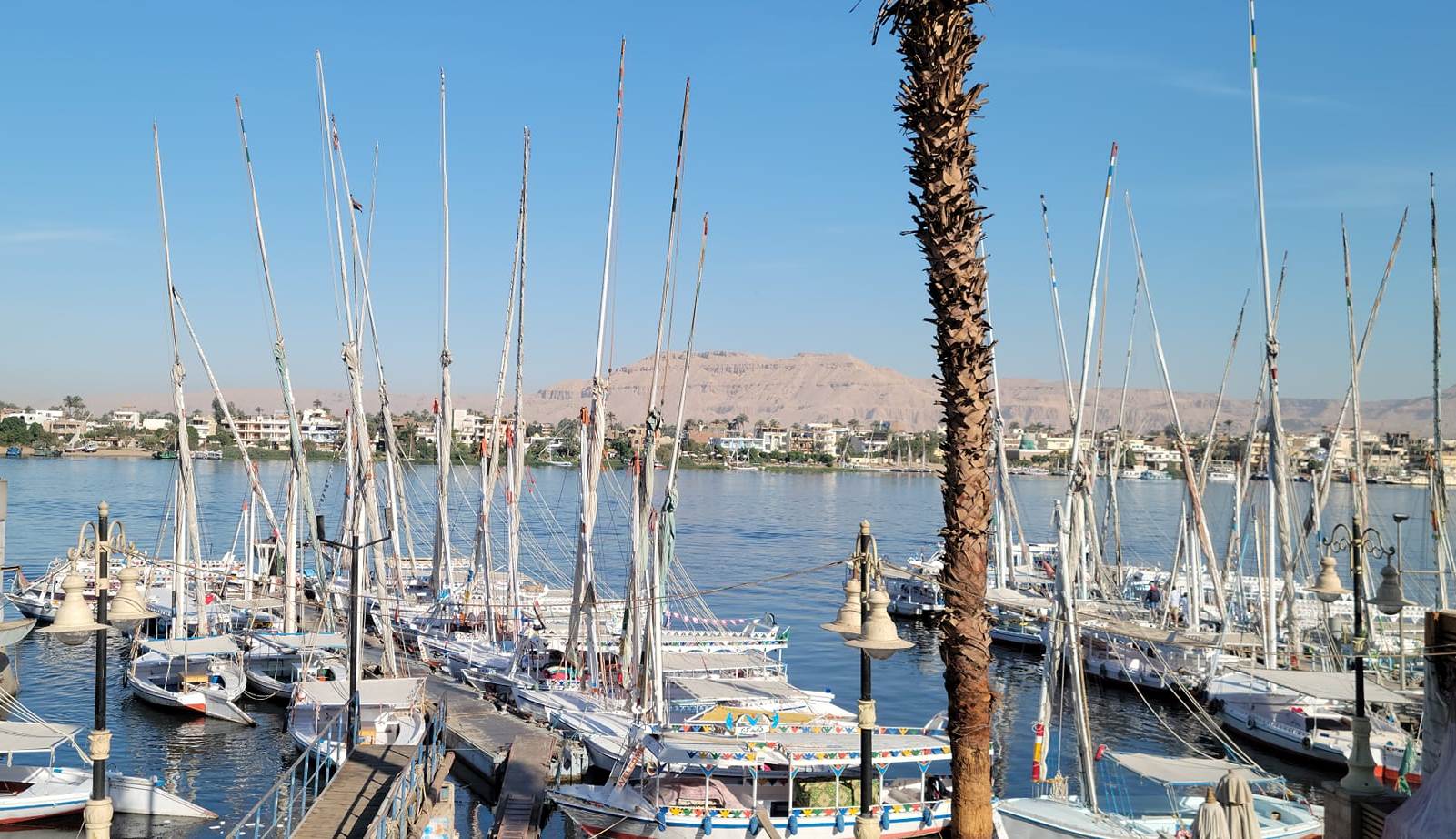 المراكب الشراعية والفنادق العائمة سحر لا يقاومه السياح في الأقصر المراكب الشراعية والفنادق العائمة سحر لا يقاومه السياح في الأقصر