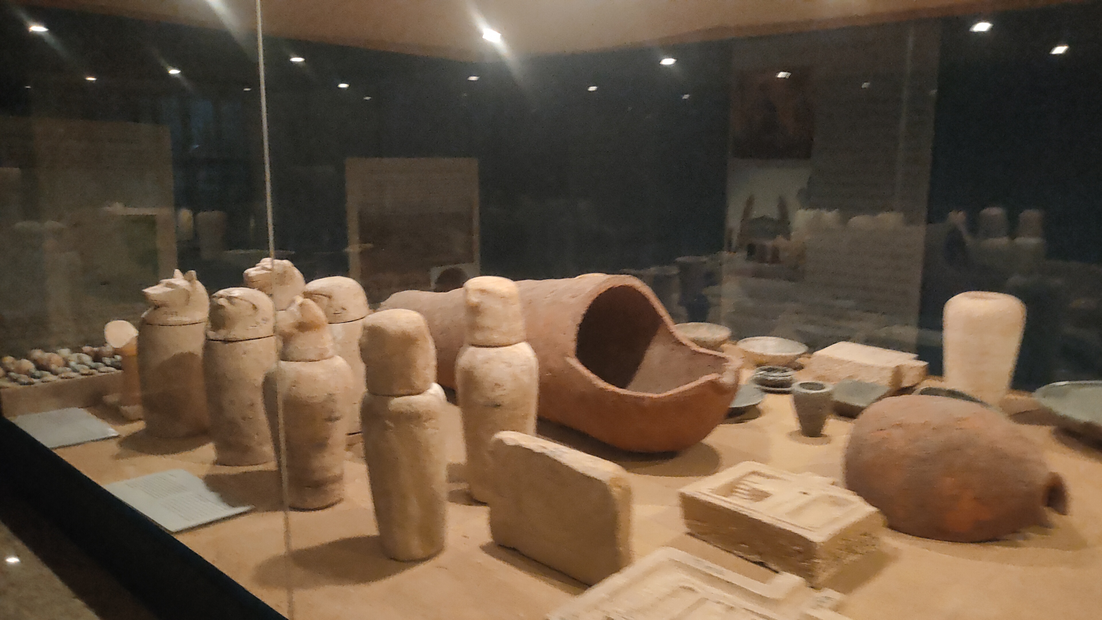 الآثار في متحف تل بسطة